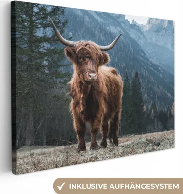 Produktbild von MuchoWow® - Leinwandbilder - Schottische Highlander - Berg - Landschaft - Bäume - Kuh - Natur, Wandbild, Wanddeko Bilder Wohnzimmer, 40x30 cm