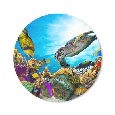 Produktbild von MuchoWow® Mauspad Mousepad Schildkröte - Meer - Koralle 20x20 cm - Mousepads - Maus Mat - Pad - Mausunterlage - Schreibtischmatte