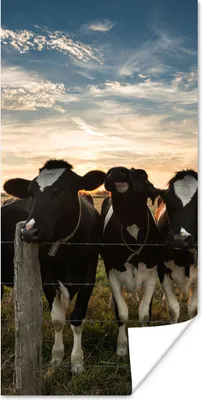 Produktbild von MuchoWow® Poster Tiere - Kuh 60x120 cm - Wandschmuck