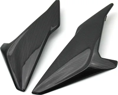 Produktbild von Carbon Seitenverkleidung für BMW S 1000 R 2017-2020