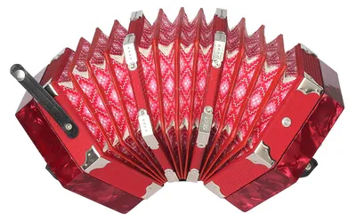 Produktbild von Ziehharmonika mit 20 Knöpfen und 40 Stimmzungen im Anglo-Stil, inklusive Tragetasche