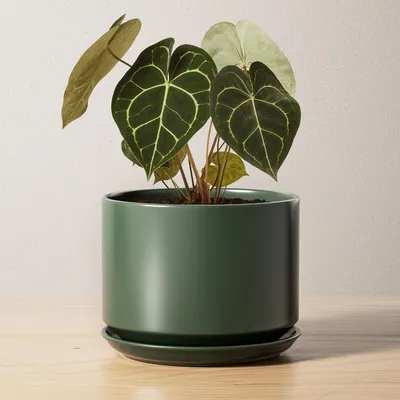 Produktbild von Keramik-Blumentopf 17 cm mit Untersetzer und Drainageloch Weiß