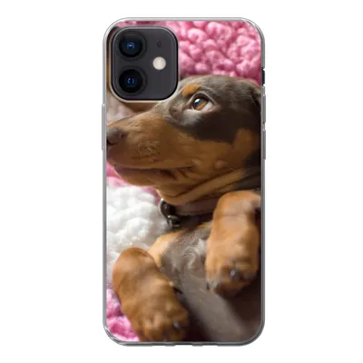 Produktbild von MuchoWow® Handyhülle Schutzhülle Hülle für iPhone 12 Ein Dackelwelpe auf einer rosa Decke Silikon Softcase Handy Hülle - Schutzhülle