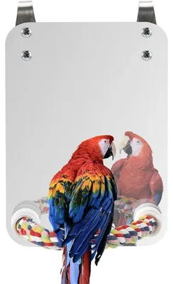 Immagine prodotto di Giocattolo a specchio per uccelli, in acciaio inossidabile, con corda in cotone e supporto, dimensioni 5x7 pollici, adatto per uccelli di taglia media e grande