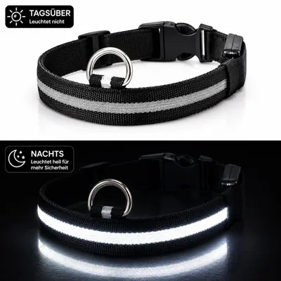 Produktbild von LED Hundehalsband USB aufladbar reflektierend Leuchthalsband verstellbar S–XL für Hunde Nacht Sicherheit inkl. Ladekabel XL (42cm - 56cm) - SCHWARZ