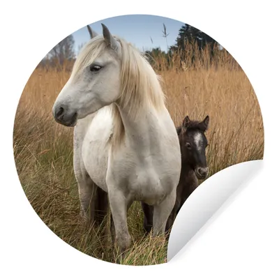 Produktbild von MuchoWow® Runde Wandtattoo - Wandsticker Tapete Aufkleber Pferd mit Fohlen in der Camargue Ø 30 cm Selbstklebend und Repositionierbar - Wandaufkleber - Kreis - Wandbild - Fototapete - Selbstklebend - Dekoration - Wandschmuck - Schlafzimmer