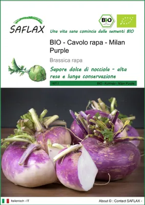 Immagine prodotto di SAFLAX -- Cavolo rapa - Milan Purple - 600 semi - Brassica