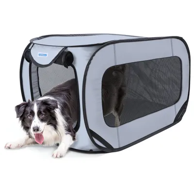 A dog is lying in front of a portable dog crate.