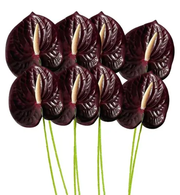 Zdjęcie produktu dla 8 sztuk sztucznych kwiatów anthurium, lilii, trwałe kwiaty dekoracyjne do dekoracji stołu, aranżacji, bukietów i jako elementy zielone do dekoracji na przyjęciach i weselach (ciemnoczerwone)