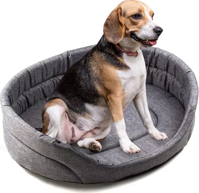 Zdjęcie produktu dla BOUTIQUE ZOO legowisko dla psa S sofa dla psa poduszka dla małych/średnich/dużych psów, kolor: szary (imitacja lnu)