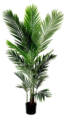 Produktbild von Künstliche Palme 140 cm Kunstpflanze eingetopft Real-Touch