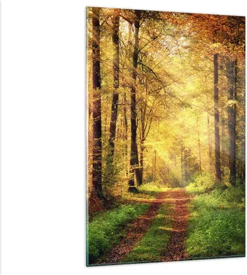 Produktbild von Bilder auf glas - Einteilig - Wald Baum Natur - 80x120cm - Glasbilder - Wandbilder - Bilder - zum Aufhängen bereit - Wanddekoration aus Glas - Glas Bilder - Wandbild auf Glas - GPA80x120-3718