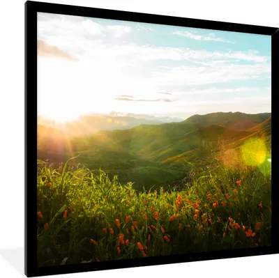 Produktbild von MuchoWow® Gerahmtes Poster Hügel - Sonnenuntergang - Gras - Grün 40x40 cm - Poster mit Schwarzem Bilderrahmen Wandposter Rahmen Foto Bilder - Mit Rahmen - Wanddekoration Schlafzimmer