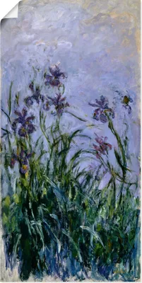 Produktbild von ARTland Poster Iris. 1914-17 Größe: 75x150 cm