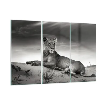 Produktbild von Bilder auf glas - Tierwelt weiblich katze Tier - 105x70cm - Glasbilder - Wandbilder - Kunstdruck - zum Aufhängen bereit - Wanddekoration aus Glas - Glas Bilder - Wandbild auf Glas - GCE105x70-3165