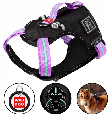 Produktbild von Waudog Hundegeschirr Nylon Sicher Lila Größe M mit QR-ID