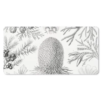 Produktbild von MuchoWow® Mauspad Mousepad Koniferen - Ernst Haeckel - Kunst - Retro - Illustration - Natur 60x30 cm - Mousepads - Maus Mat - Pad - Mausunterlage - Nachhaltig