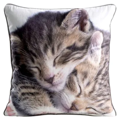 Image de EUROFIRANY | Housse de coussin - Taie d'oreiller - 45 x 45 cm - Chat - Housse de coussin décorative - Housse - Décorative