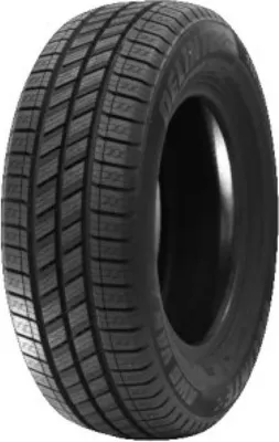 Produktbild von Delinte Aw6 Van 205/65R16C 107T Bsw