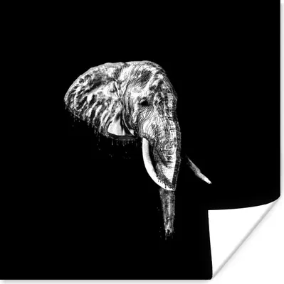 Produktbild von MuchoWow® Poster Elefant - Zähne - Schwarz - Weiß 100x100 cm - Babyzimmer