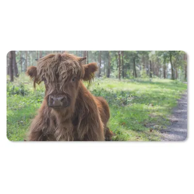 Produktbild von MuchoWow® Schreibtischunterlage Schottischer Highlander - Kröte - Tiere 80x40 cm - XXL Mauspad - Gaming Mauspad