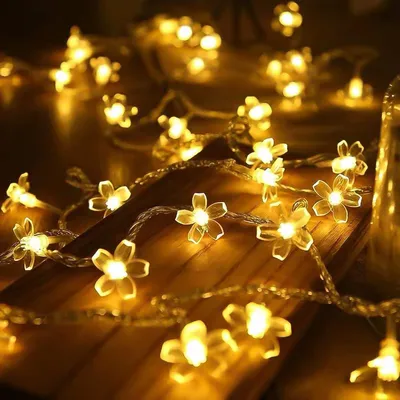 Obrázek produktu pro LED světelný řetěz pro venkovní použití - 10 m s 100 LED, vodotěsný a s dálkovým ovládáním