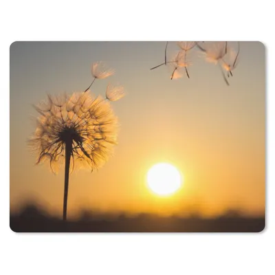 Produktbild von MuchoWow® Mauspad Mousepad Löwenzahn - Sonne - Sonnenuntergang 23x19 cm - Mousepads - Maus Mat - Pad - Mausunterlage - Schreibtischunterlage - Mauspad