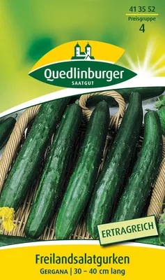 Artikelbild 2 von 'Salatgurke Gergana' aus der Kategorie Salatgurkensamen