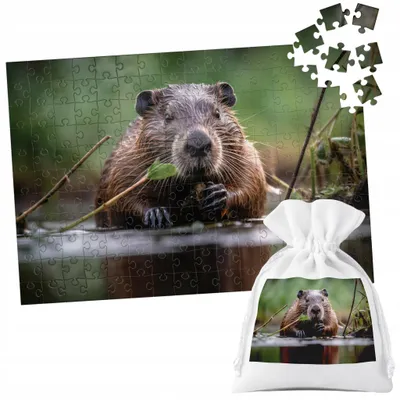 Zdjęcie produktu dla PUZZLE TRADYCYJNE - ZWIERZĘTA KAPIBARA MODNE - 24 el