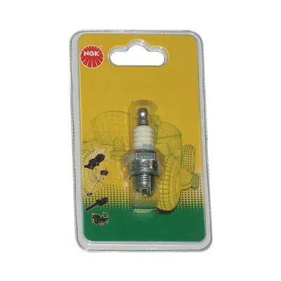 Image de Ngk Flushplug