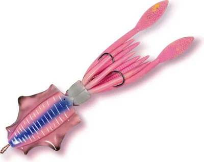Produktbild von Rhino Squid Norwegenköder, Farbe:Pinky, Gewicht g:200
