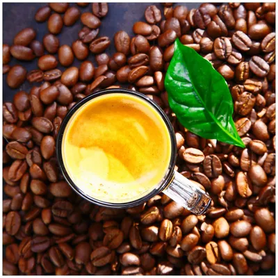 Produktbild von Wallario Sticker / Aufkleber für Kühlschrank / Geschirrspüler / Küchenschränke, selbstklebende Folie - 60 x 60 cm, Motiv: Kaffee und Bohnen