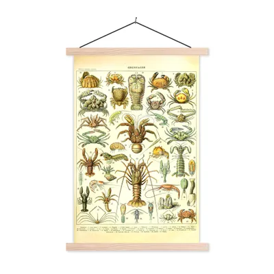Produktbild von MuchoWow® Textilposter Hummer - Tiere - Meerestiere - Vintage - Adolphe Millot 40x60 cm mit holzfarbenen Rahmen - Poster
