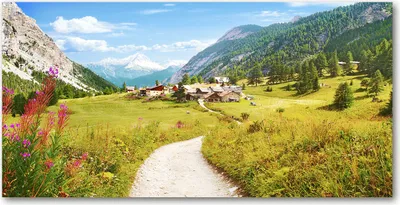 Produktbild von Tulup® Glas-Bild - 100x50 -Wandkunst - Wandbild hinter gehärtetem Sicherheitsglas  - Landschaften - Alm Weide Alpen - Grün