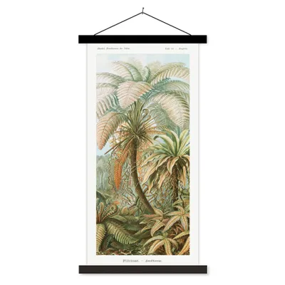 Produktbild von MuchoWow® Textilposter Vintage - Alte Meister - Farne - Pflanzen - Natur 40x80 cm mit schwarzem Rahmen - Wandemalerei