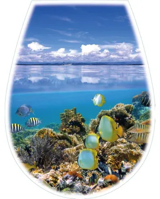Produktbild von Bisk Lilia Toaletten-Sitz Foto Ocean (04154)
