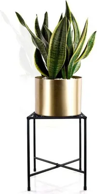 Image de Plante Pot de fleurs Rack Métal Fer Présentoir Support Étagère Accueil Décor
