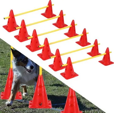 Obrázok produktu pre Agilitný set - zahŕňa 12 kužeľov a 6 priečok - pre slalom, tréning rýchlosti a cvičenia s prekážkami - ružovej farby - vhodný na tréning futbalu a pre psy