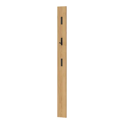 A narrow wooden panel with three black fixtures, one of which is a hook.