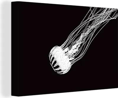 Obrázok produktu pre OneMillionCanvasses® - Obrazy na plátne - 140x90 cm, Medúza - Ilustrácia - Čierna, Nástenná umelecká tlač Nástenná dekorácia - Fotografia na plátne - Obraz na drevenom ráme