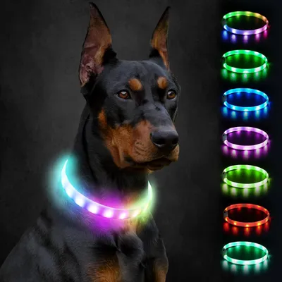 Productafbeelding van Lichtgevende halsband voor honden - oplaadbaar via USB-C - 9 lichtmodi - 70 cm op maat te knippen - siliconen