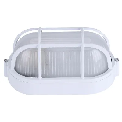 Zdjęcie produktu dla Przeciwwybuchowa owalna lampa do sauny parowej z paroszczelną osłoną klosza