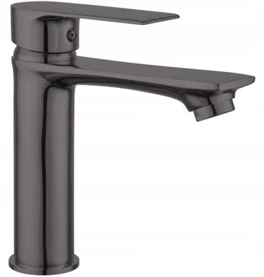 Image de Mélangeur de lavabo Royo graphite (72200-66)