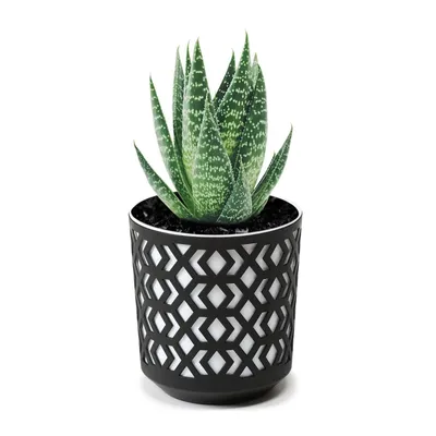 Immagine prodotto di AZTEK 190 vaso da fiori - k/nero + c/bianco LA791-25 LAMELA
