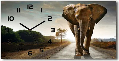 Produktbild von Wanduhr aus Glas – 60x30 cm - Glasbild - Glasuhr - Gehärtetes Glas - schwarze-zeiger - schlendern Elefant