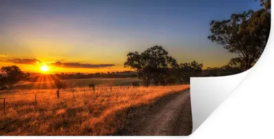 Produktbild von MuchoWow® Wandtattoo Wandsticker Wandaufkleber Sonne - Gras - Baum - Natur 80x40 cm Selbstklebend und Repositionierbar - Aufkleber