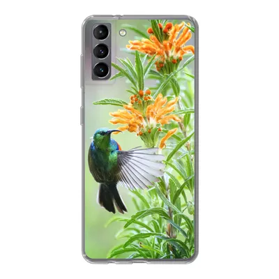 Produktbild von MuchoWow® Handyhülle Schutzhülle Hülle für Samsung Galaxy S21 Plus Nahaufnahme eines bunten Vogels neben Pflanzen mit orangefarbenen Blüten Silikon Softcase Handy Hülle - Handy-Tasche