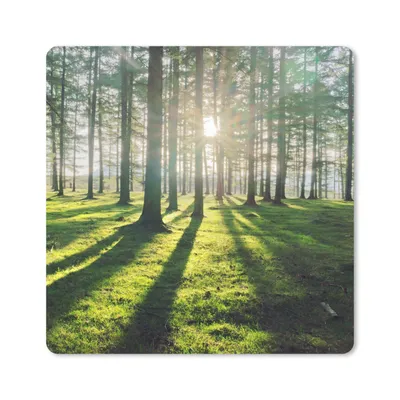 Produktbild von MuchoWow® Mauspad Mousepad Bäume - Natur - Wald 20x20 cm - Mousepads - Maus Mat - Pad - Mausunterlage - Desk Mat - Bureauartikeln