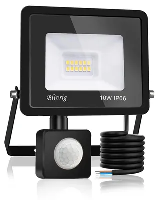 LED-Außenstrahler 10 W mit Bewegungsmelder, warmweiß, IP66