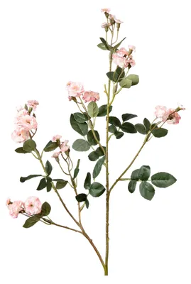 Produktbild von Künstliche Blumen, mehrköpfige Rosetten, realistische Seidenblumen, Dekoration für drinnen und draußen, Hochzeiten, Events, Fotorequisiten